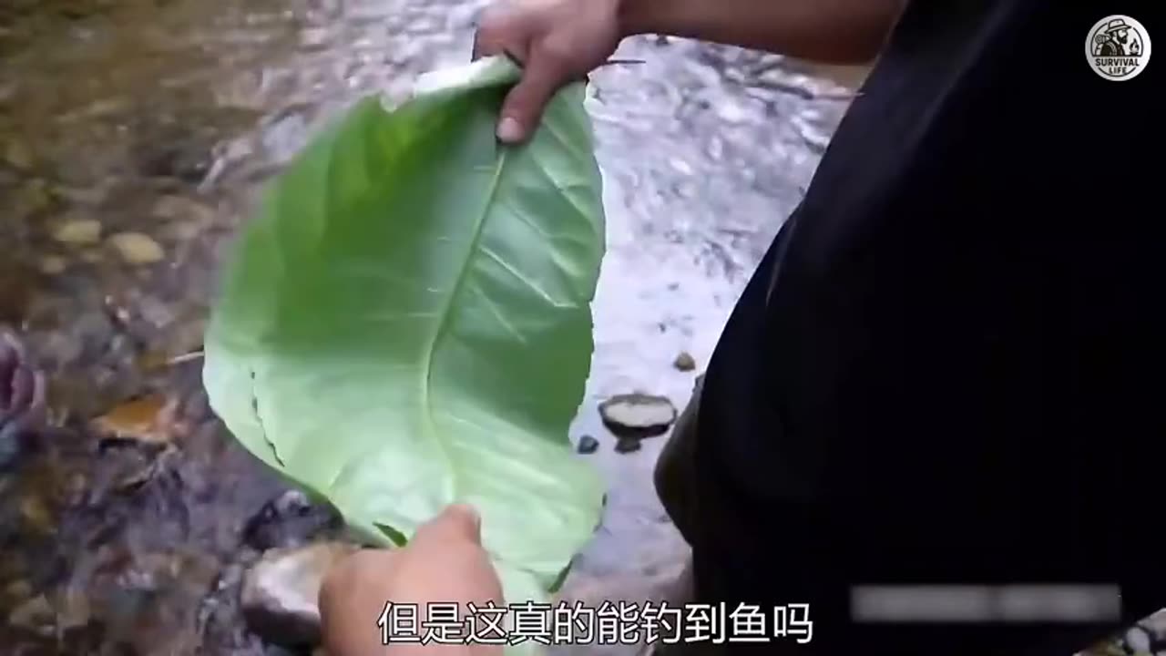 Forest Survival Camp with Powerful Remix Music