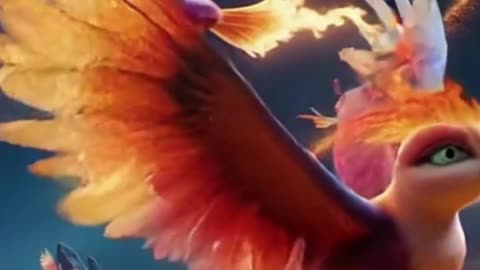 free fly