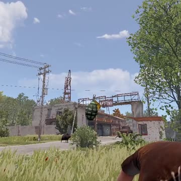 Mmm, Bacon for Days! Rust