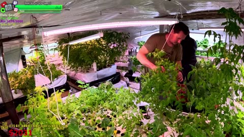 The JUNGLE Make Over! BIG DAY Day 346 Family Builds FARMSTEAD Dream Journey to Freedom in REMOTE ALASKAN Village | !Real !Homestead