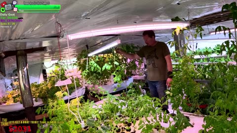 The JUNGLE Make Over! BIG DAY Day 346 Family Builds FARMSTEAD Dream Journey to Freedom in REMOTE ALASKAN Village | !Real !Homestead