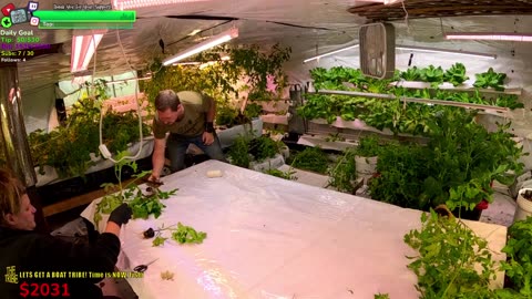 The JUNGLE Make Over! BIG DAY Day 346 Family Builds FARMSTEAD Dream Journey to Freedom in REMOTE ALASKAN Village | !Real !Homestead