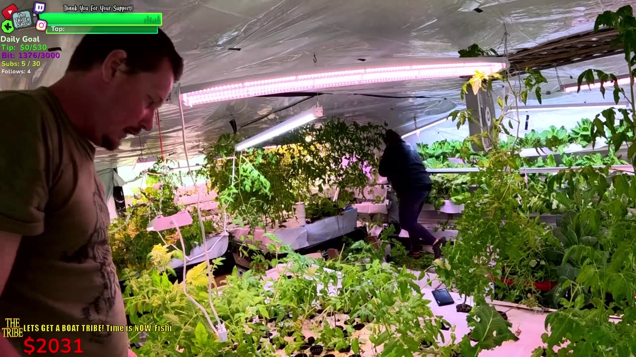 The JUNGLE Make Over! BIG DAY Day 346 Family Builds FARMSTEAD Dream Journey to Freedom in REMOTE ALASKAN Village | !Real !Homestead