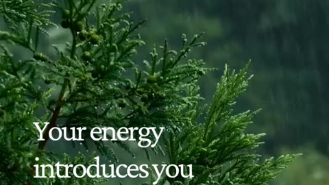 They Notice Your Energy Before Your Words — Here’s Why It Matters