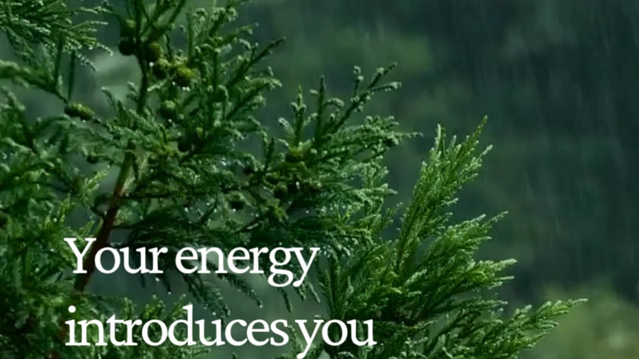 They Notice Your Energy Before Your Words — Here’s Why It Matters