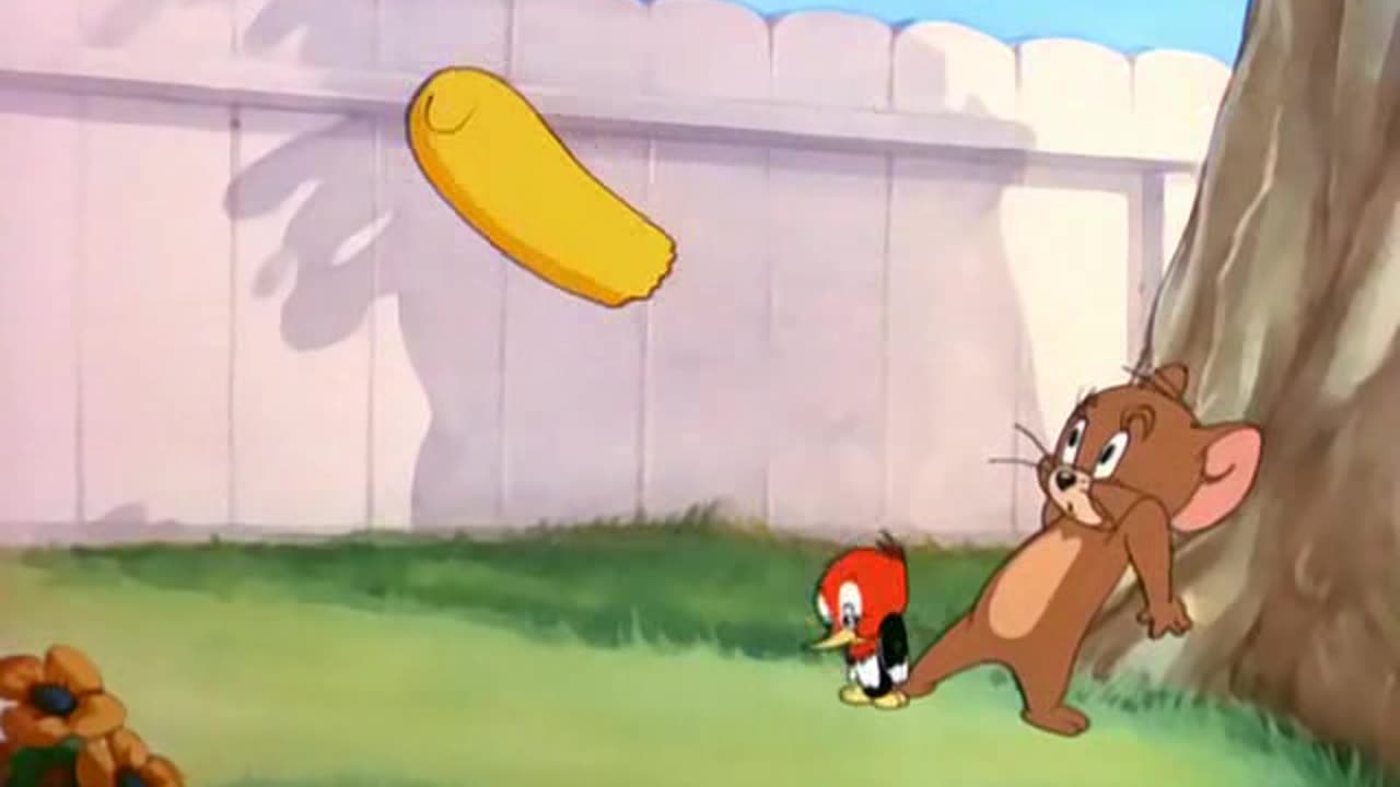 TOM & JERRY EP 041 Hatch Up Your Troubles [1949] 720P