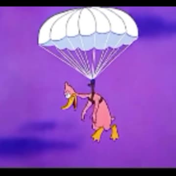 funny video funny videos new funny video tiktok funny video bangla funny video animal funny video