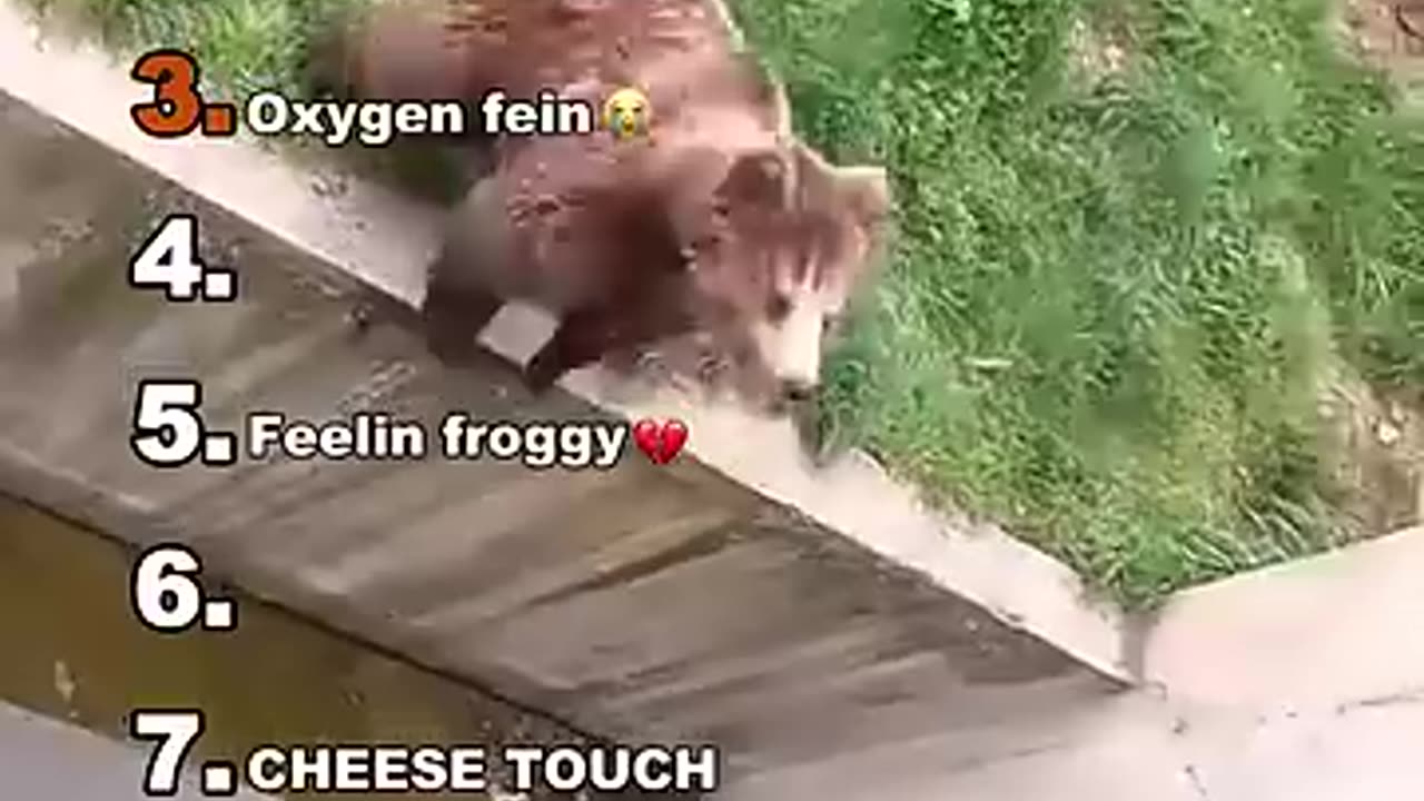 Ranking best Medazelli Moments