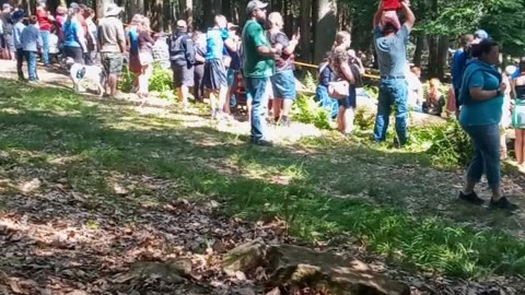 JUNE 8 2024 COOK FOREST STATE PARK PART 2
