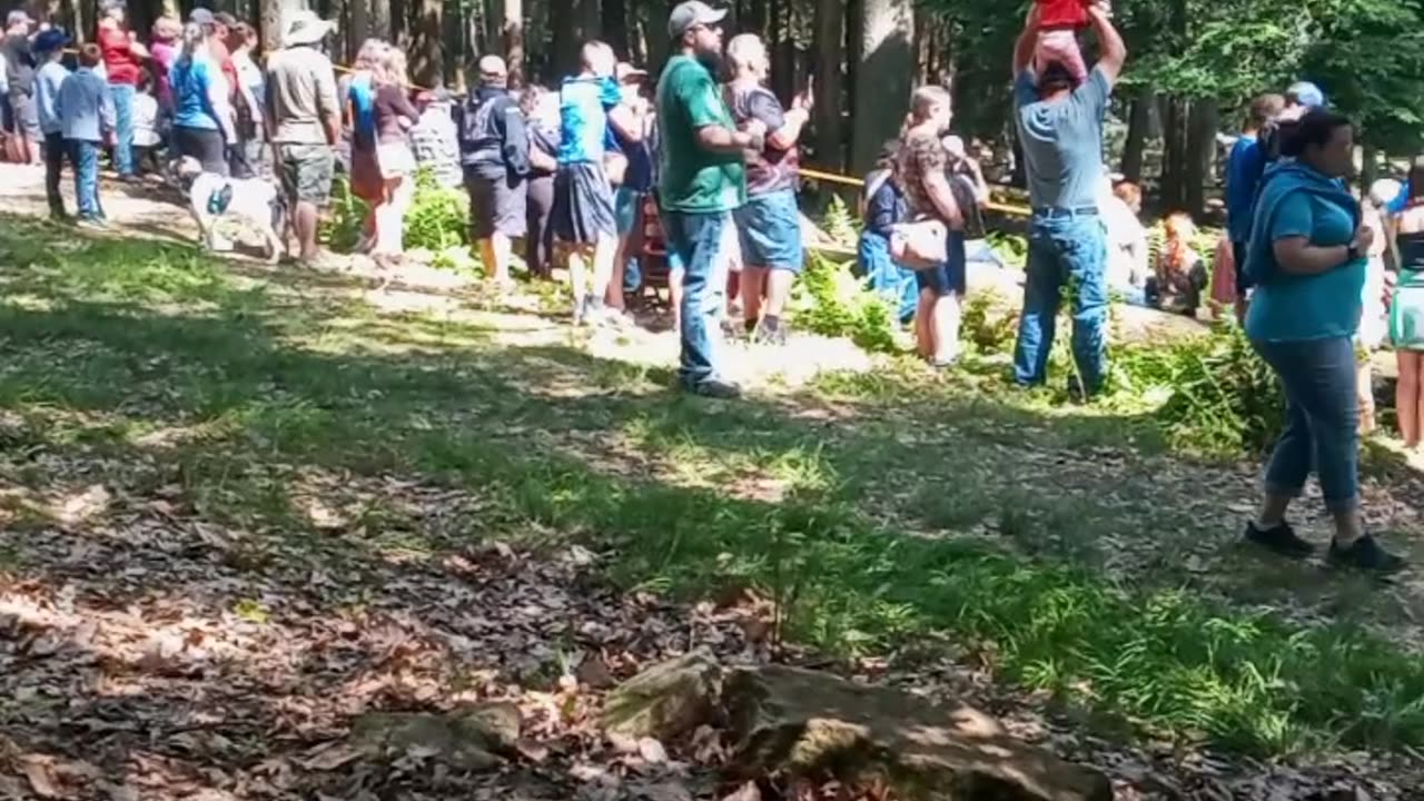 JUNE 8 2024 COOK FOREST STATE PARK PART 2
