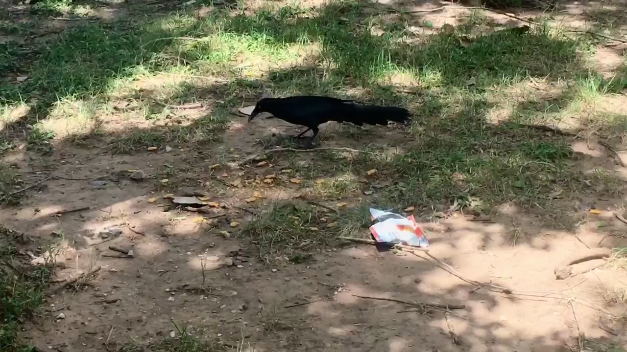 Help to Tear open the bag, enjoying!