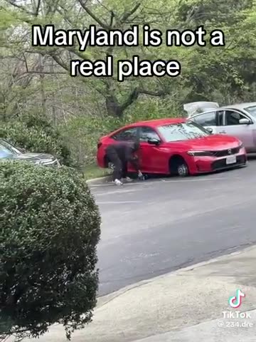 Negros steal tires and rims off car in broad daylight