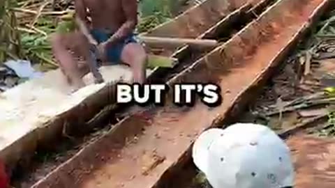 The Wood You've Been Eating Without Knowing 🤯