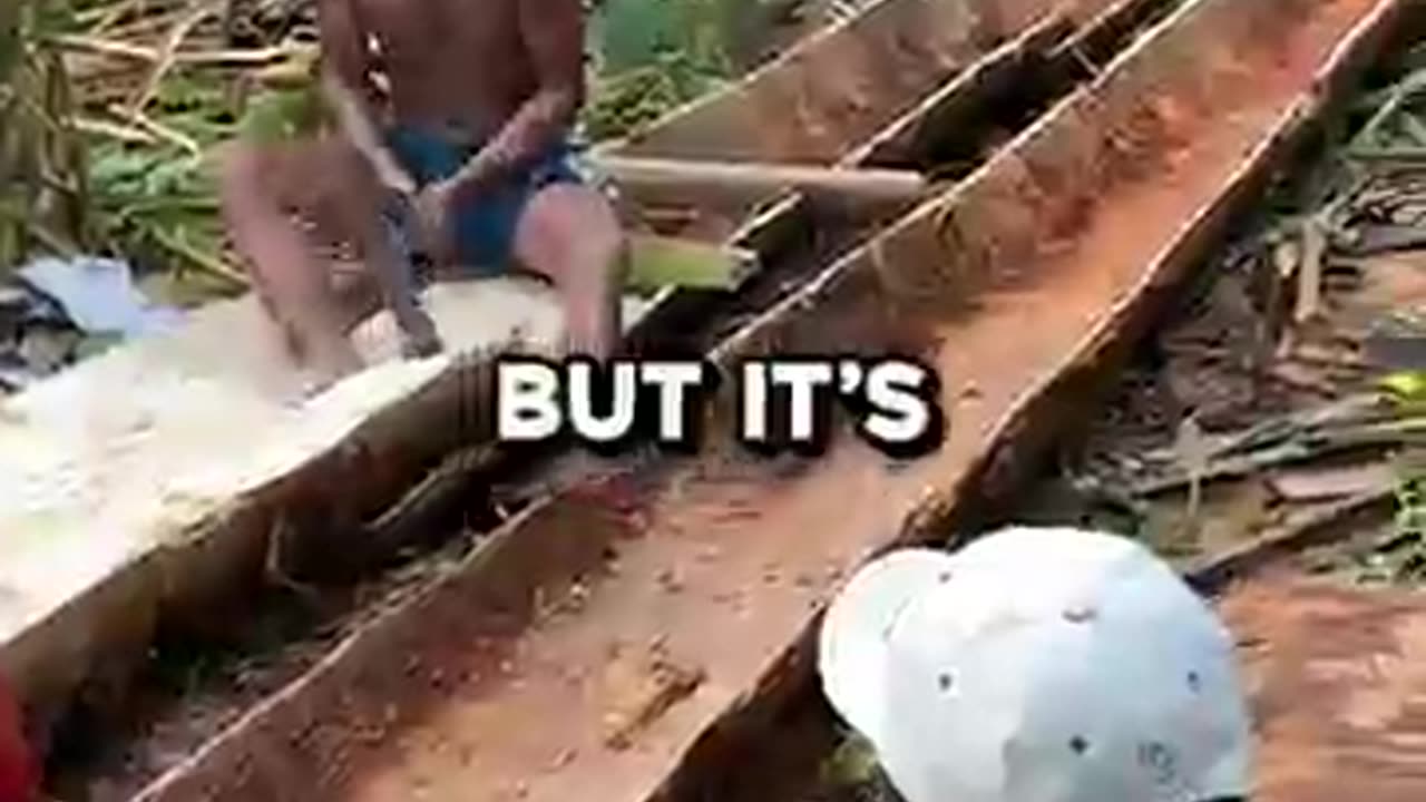 The Wood You've Been Eating Without Knowing 🤯