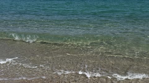 Invasive Mosquito Crisis Dengue, Zika, and Chikungunya