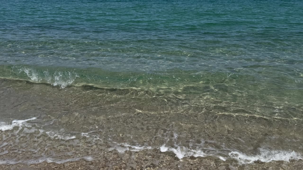 Invasive Mosquito Crisis Dengue, Zika, and Chikungunya