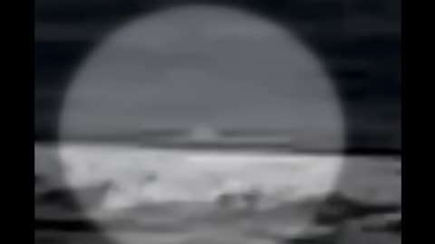 Beloved Australian Surfer Killed by Huge Shark