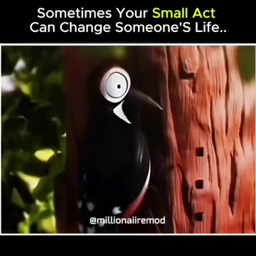 Did you know that even the tiniest gesture can leave a mark on someone’s entire world?