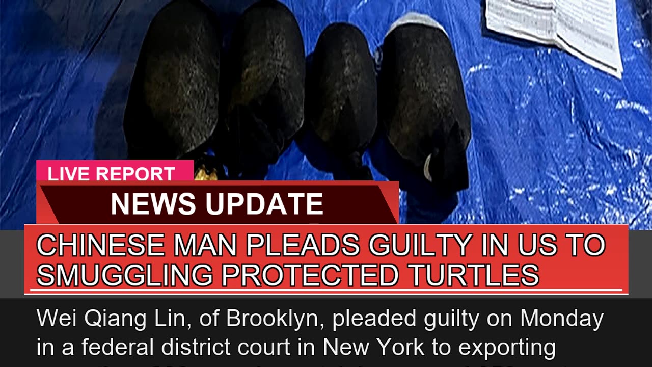 Chinese Man Pleads Guilty in US to Smuggling Prote
