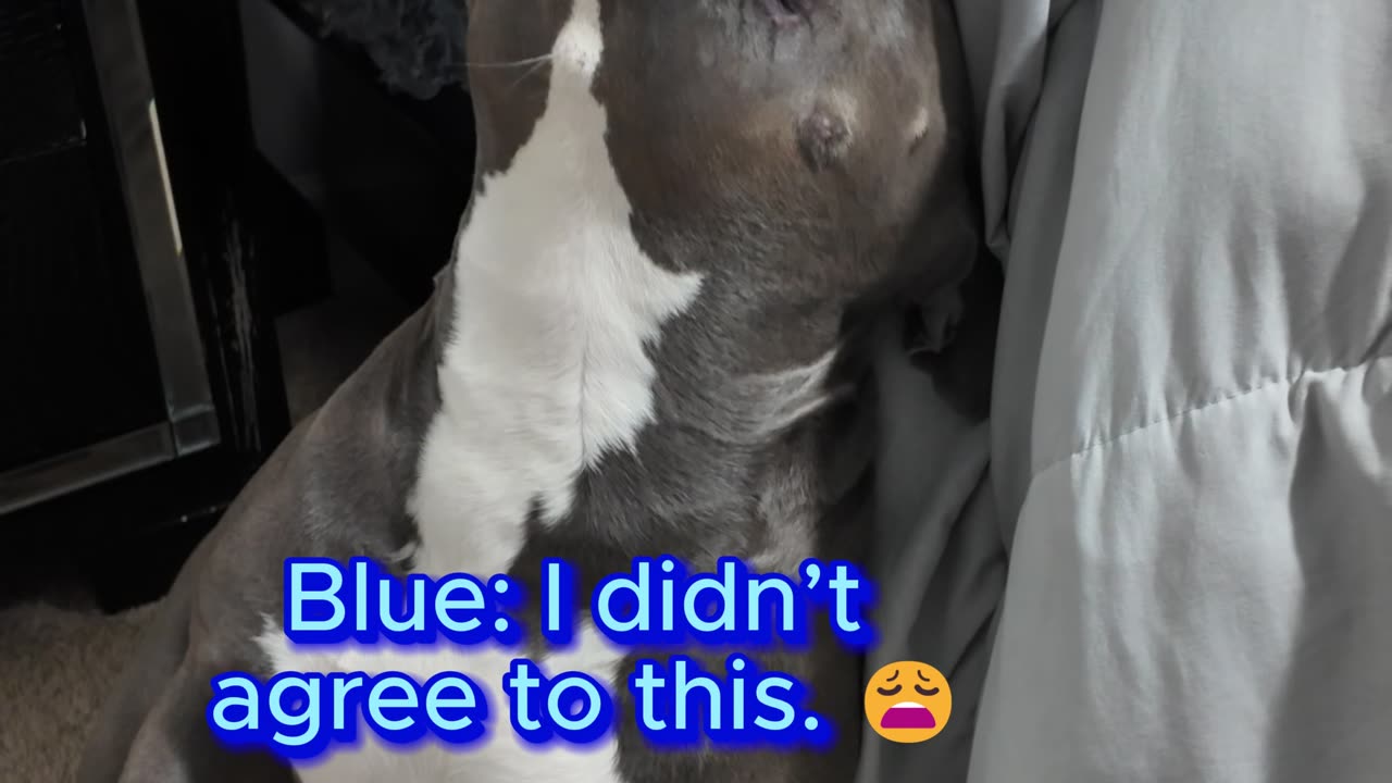 The level of trust Blue has 😩😂