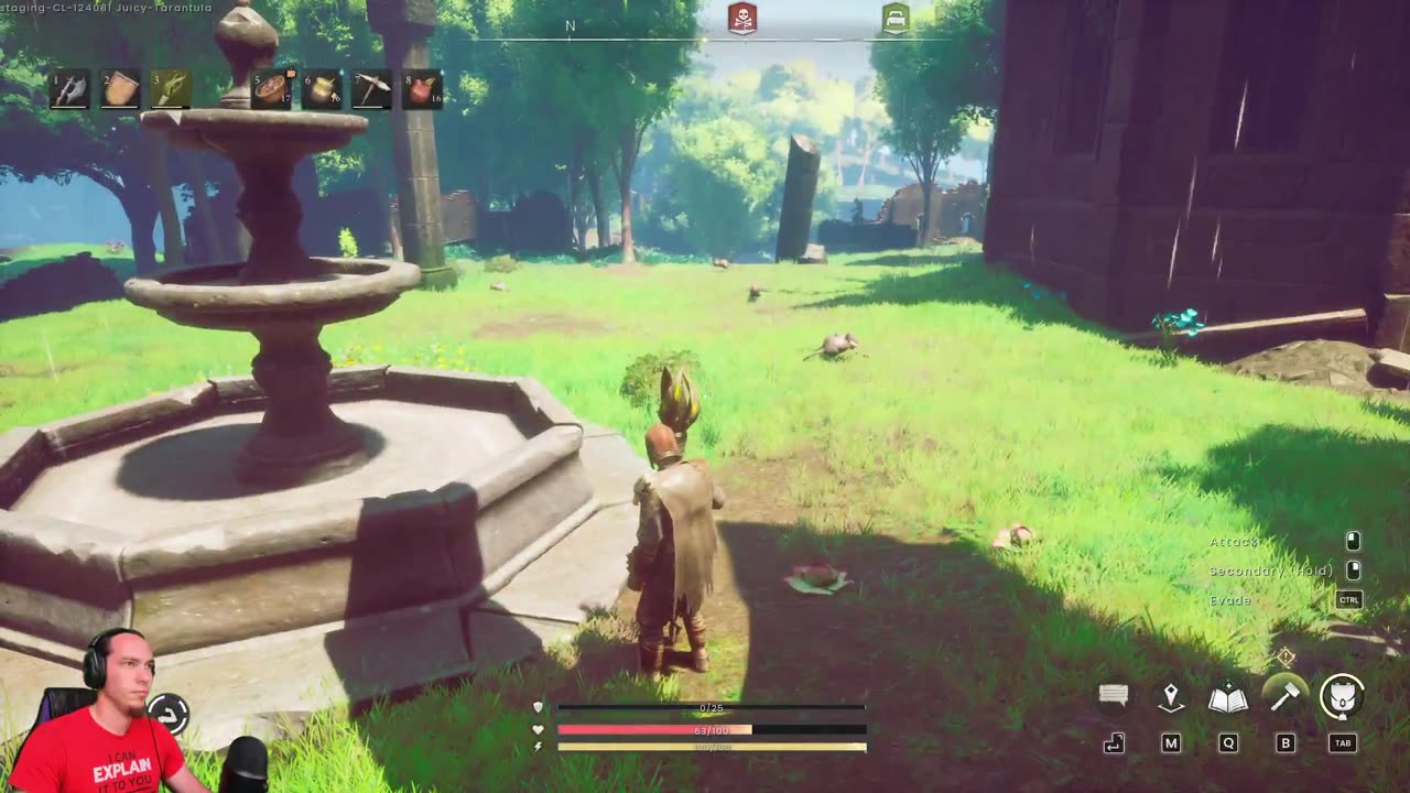 Runescape Dragon Wilds