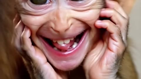 🐵 Adorable Baby Monkey Moments! 🥰 The Cutest Thing You’ll See Today! ❤️ #Shorts