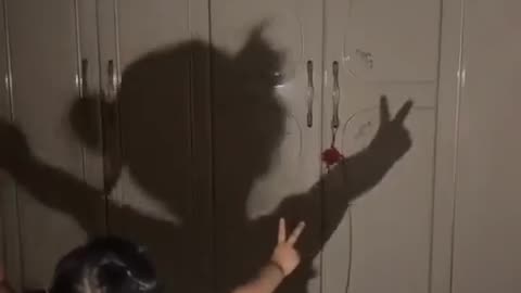 🤣🕺 Dancing with Shadow Will Make You Laugh! Watch Till the End! | FunFM