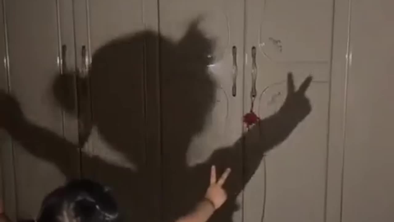 🤣🕺 Dancing with Shadow Will Make You Laugh! Watch Till the End! | FunFM