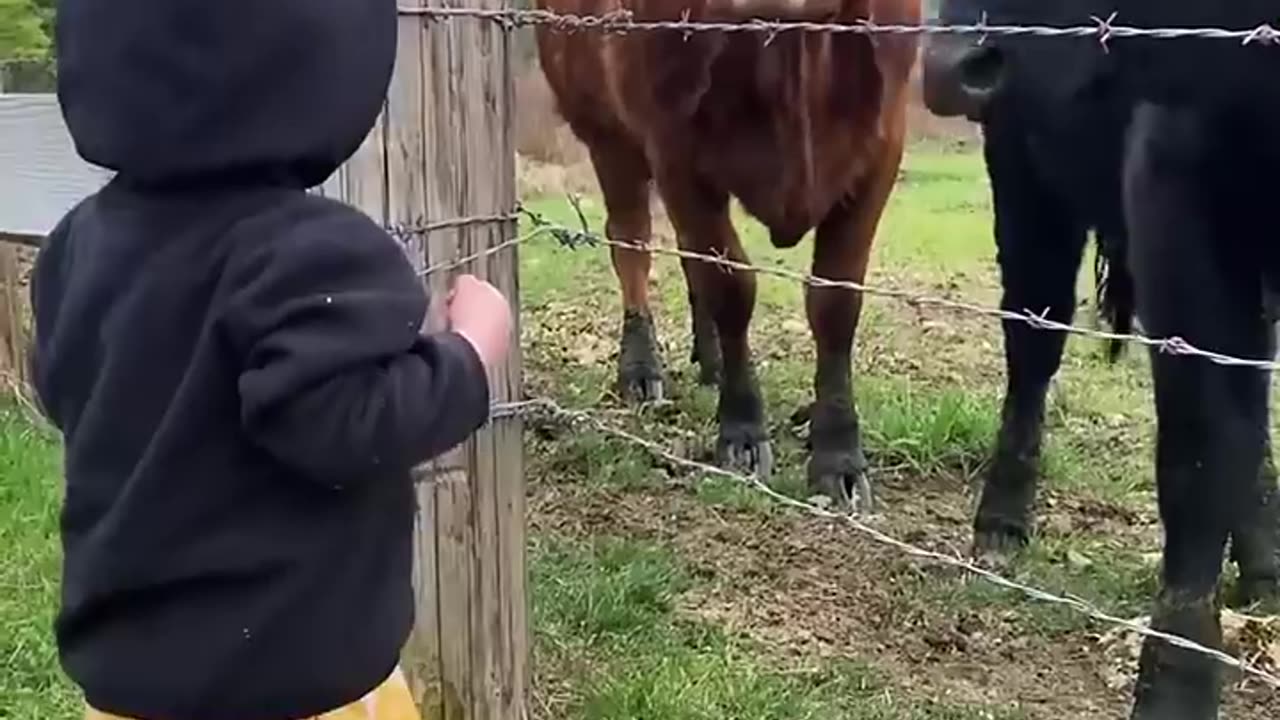 Kids with animals