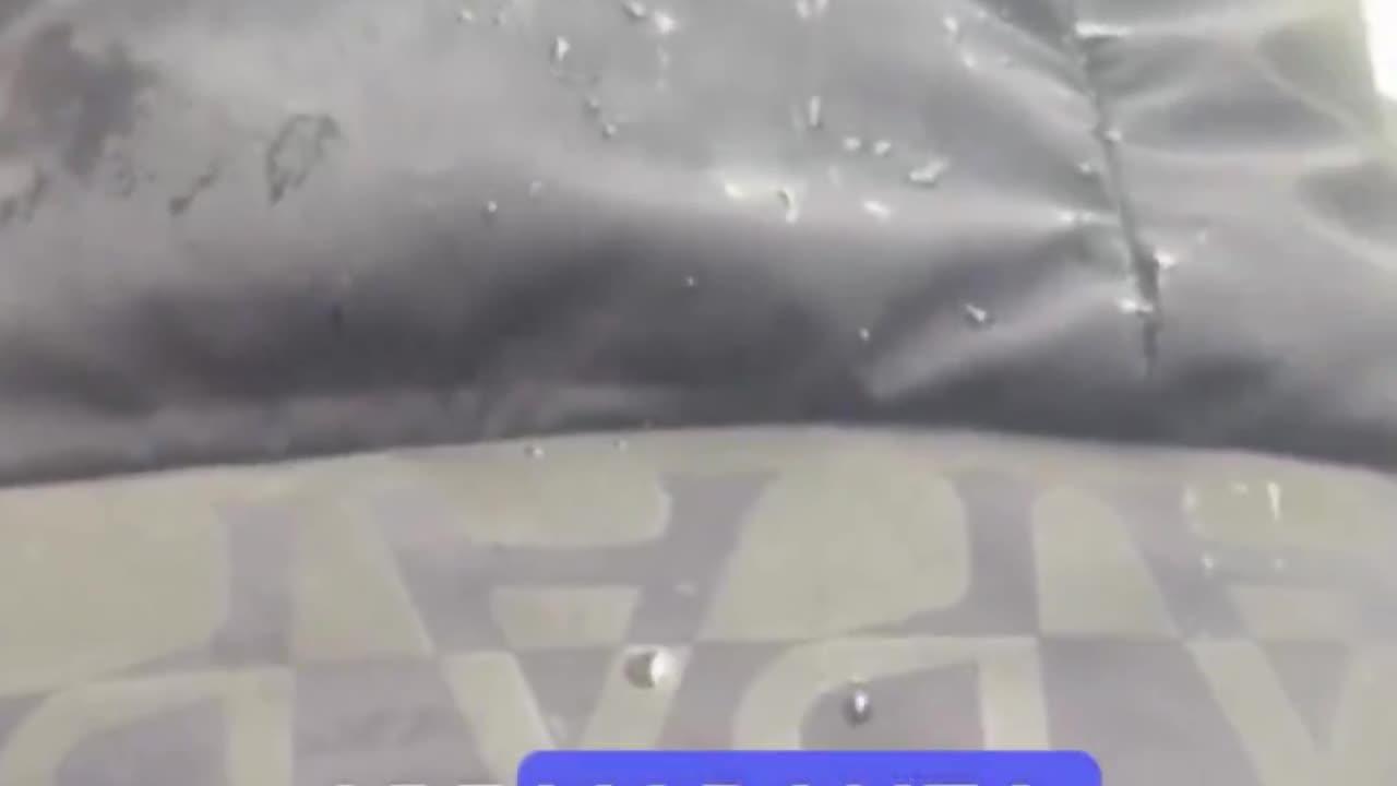 The words of the leader