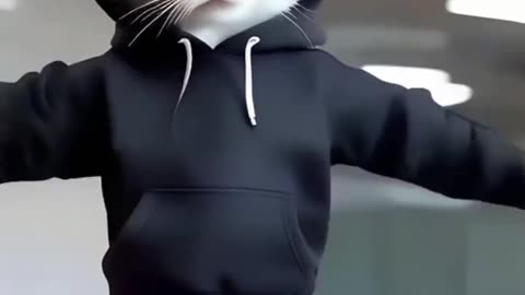 Furry funky moves