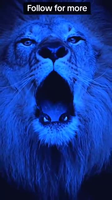 The best way to keep a prisoner from escaping is to make sure he never knows he’s in prison