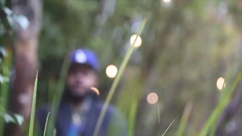 Evidence - Stay Alive (feat. Blu) [Official Video]
