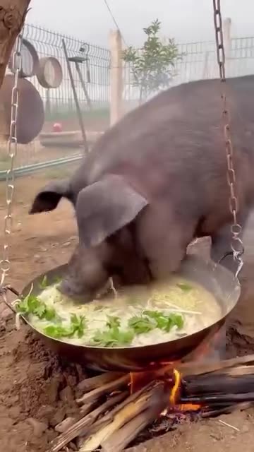 This is unusual 🤔