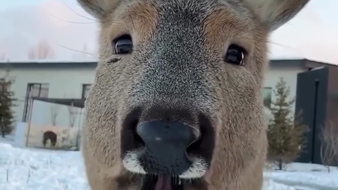 Funny