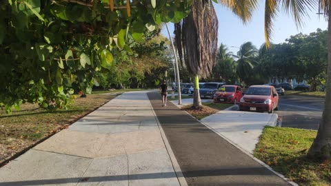 Chetumal Boulevard - Chetumal - Quintana Roo - 4K - Part 5