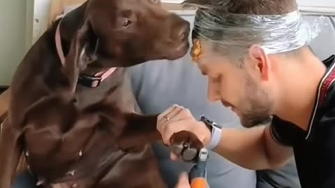 Trying to cut my dog's nails. 🤣 end