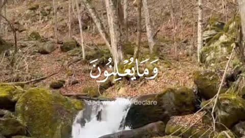 🔥Surah An Naml 27:74–75👁️✨سورہ النمل #love #quran #viral #shorts #trending #shortvideo #viralvideo
