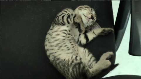 31st July Patch caught napping