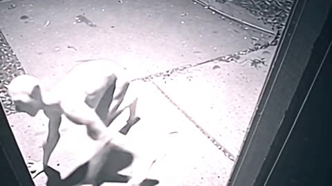 In the middle of the night, something was lurking right outside my door! 👀😱