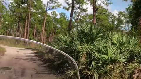 Florida Adventure Riding