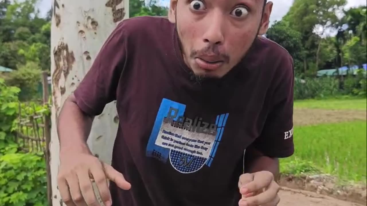 Beautiful video