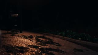 COYOTES (2025) | Official Trailer #justinlong #katebosworth #horror #thriller #mystery #comedy