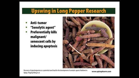 The Longevity Science of Spices - Kitty Wells (July 2017)
