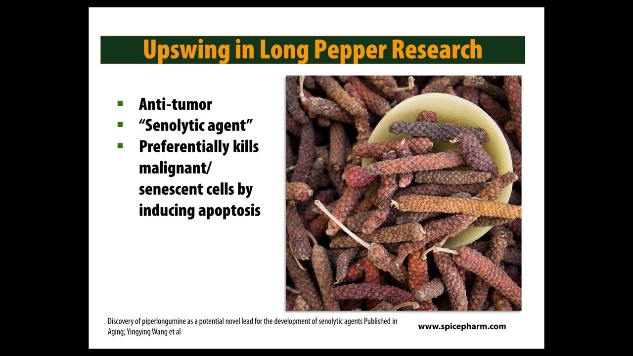 The Longevity Science of Spices - Kitty Wells (July 2017)