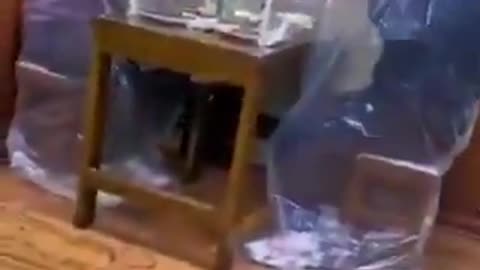 The cure for stupidity comes from within