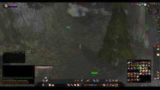 Turtle wow - The new server Ambershire - Paladin POV - Darkshore part 2