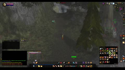 Turtle wow - The new server Ambershire - Paladin POV - Darkshore part 2