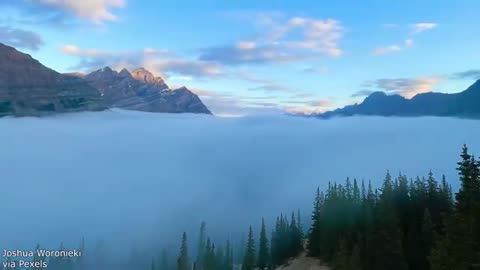 No Words Were Needed - Your Daily Dose Of Internet