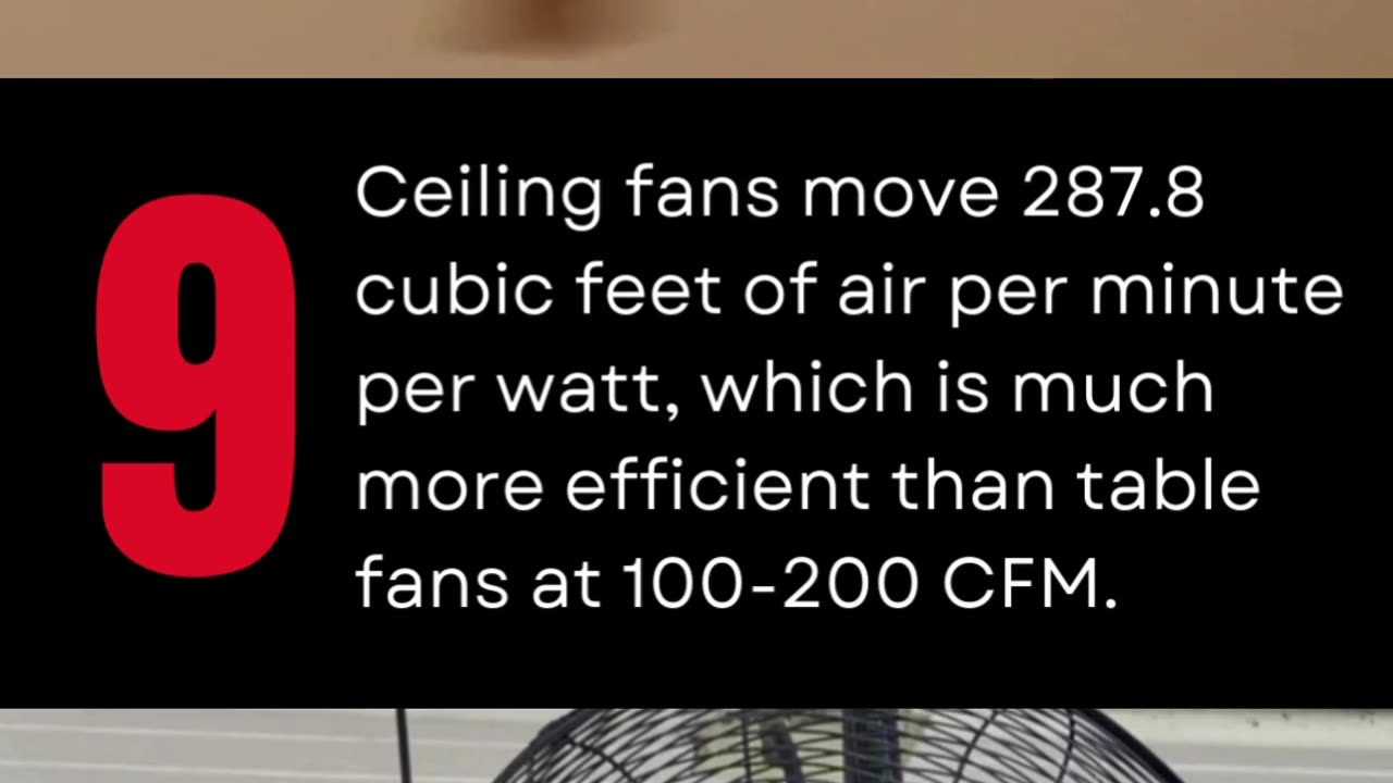 10 Fan Fun Facts